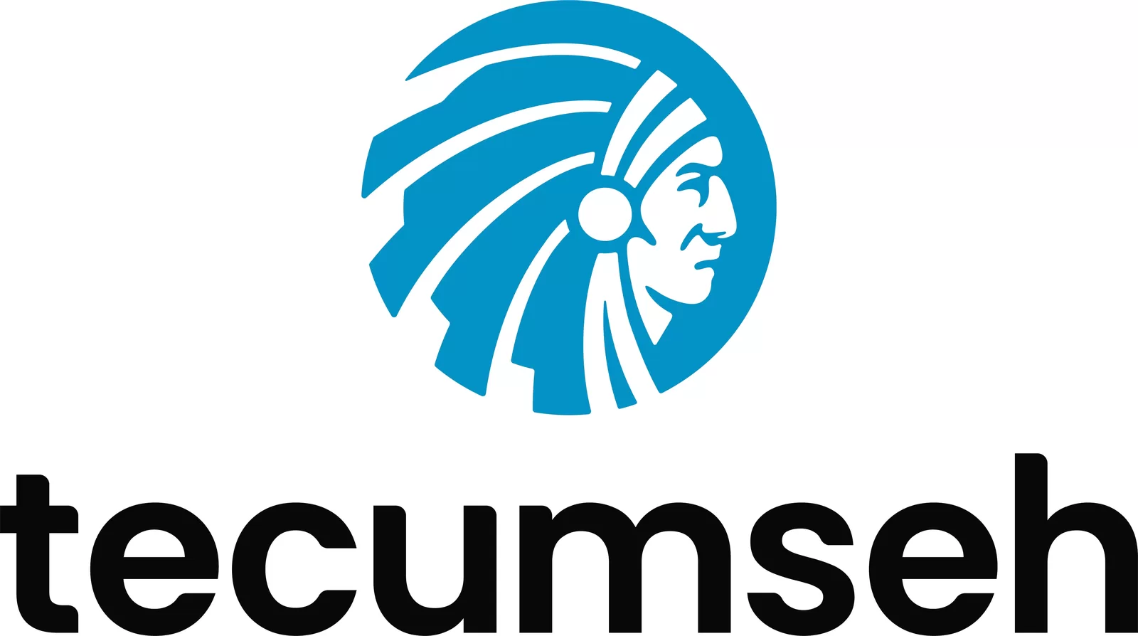 Tecumseh logo